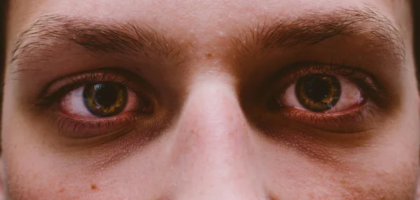 Brown Eyes Of The Man — стоковое фото