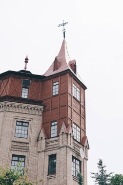 Kale kürekçi, Kyiv