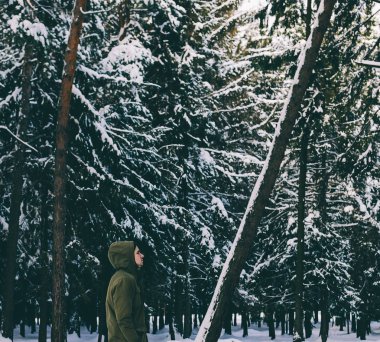 Genç adam kış ormanında