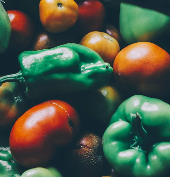 Tomates y pimientos frescos — Foto de Stock