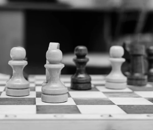 Chess On Chess Board — Stock Photo, Image