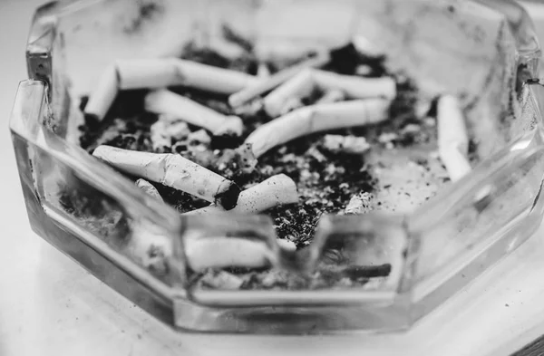 ニコチン タバコの吸殻 — ストック写真