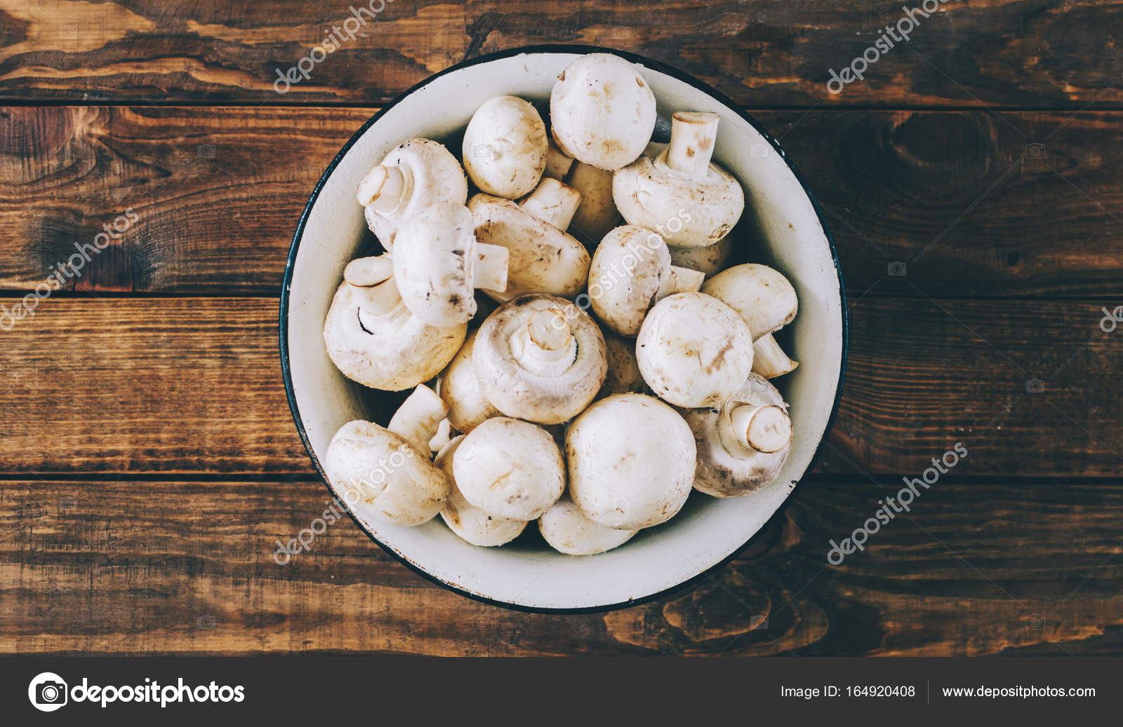 plaque champignon plaque champignon