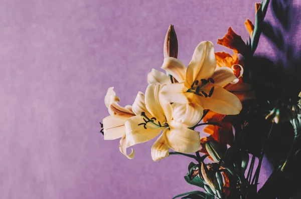 Bloemen in de kamer — Stockfoto