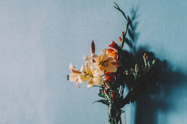 Bloemen in de kamer — Stockfoto