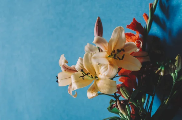 Bloemen in de kamer — Stockfoto