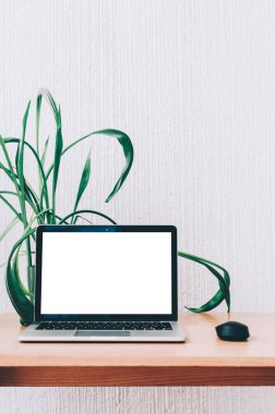 dizüstü bilgisayar masada