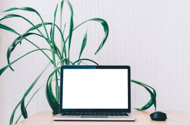 dizüstü bilgisayar masada