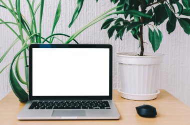 dizüstü bilgisayar masada