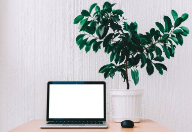 dizüstü bilgisayar masada