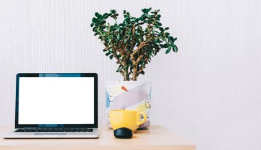 dizüstü bilgisayar masada