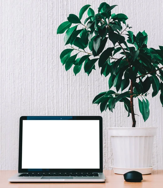 dizüstü bilgisayar masada