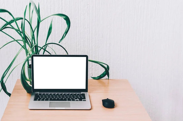 dizüstü bilgisayar masada