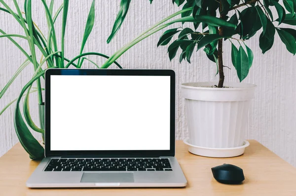 dizüstü bilgisayar masada