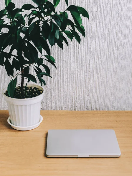 Gesloten Laptop op tafel — Stockfoto