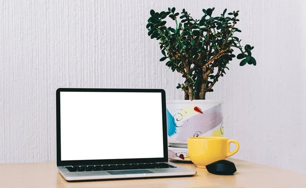 dizüstü bilgisayar masada