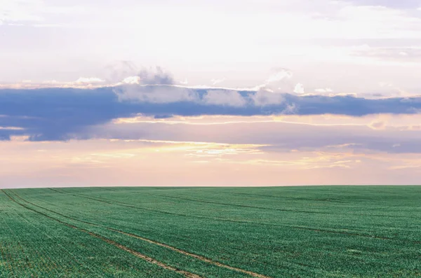 Sonbahar yeşil alan
