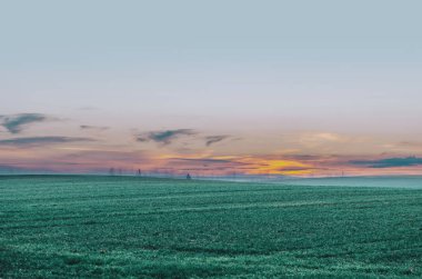 Sonbahar yeşil alan