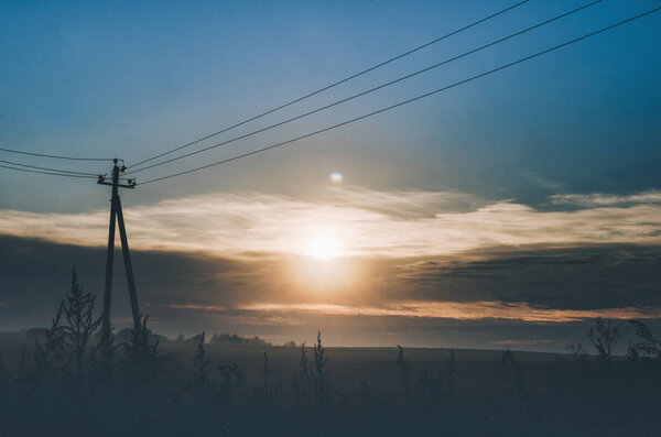 Morning In Field