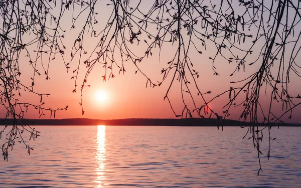 湖に沈む夕日 — ストック写真