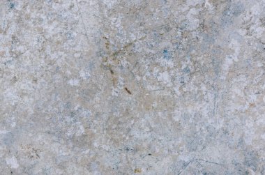 Grunge rustik arka plan