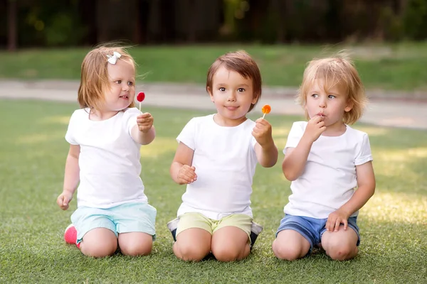 3人の小さな友人、 2人の幼児の男の子と1人の女の子は、棒にキャンディで緑の芝生に座って瞬間を楽しんでいます。幸せで気楽な子供時代と友情の概念 — ストック写真