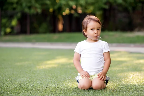 Πορτρέτο του μικρού παιδιού κάθεται σε πράσινο χλοοτάπητα τρώει γλειφιτζούρι καραμέλα στο ραβδί σε ηλιόλουστη μέρα σε εξωτερικούς χώρους. Αντιγραφή χώρου — Φωτογραφία Αρχείου