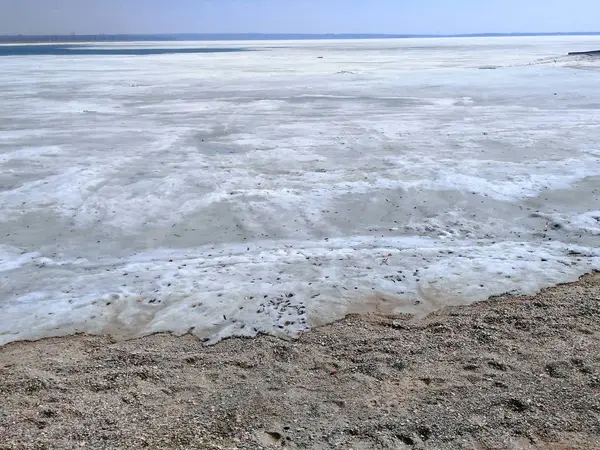 Bahar buz denizi — Stok fotoğraf