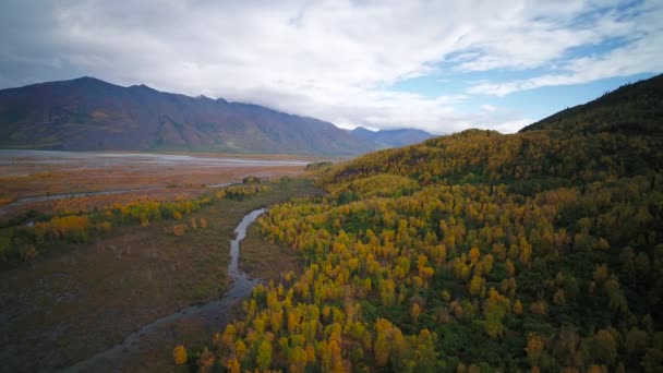 美しい丘とアラスカのクニック ロッジ近く秋の山の空撮 — ストック動画