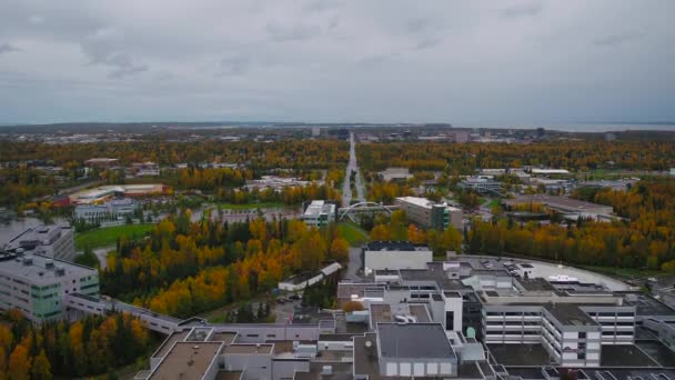 曇りでアンカレッジの航空ビデオ秋の日 — ストック動画