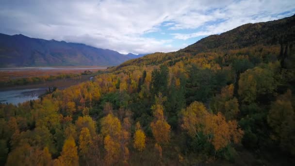 Повітряні Відео Красивих Пагорбів Гір Восени Поблизу Knik Lodge Алясці — стокове відео