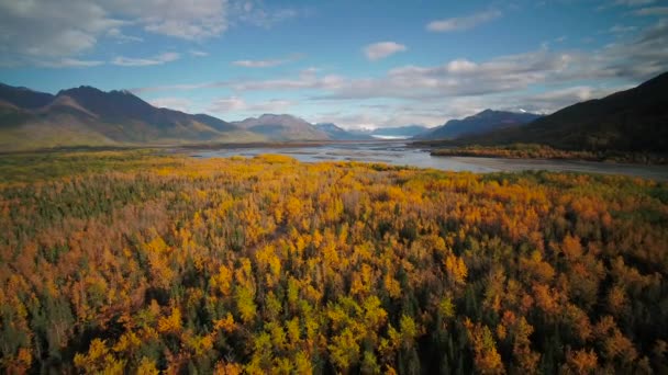 Εναέρια Βίντεο Όμορφους Λόφους Και Βουνά Φθινόπωρο Κοντά Στον Ποταμό — Αρχείο Βίντεο