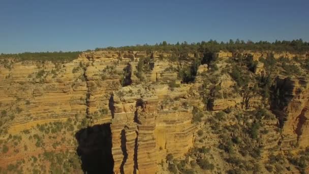 Luchtfoto Video Van Grand Canyon National Park Arizona — Stockvideo