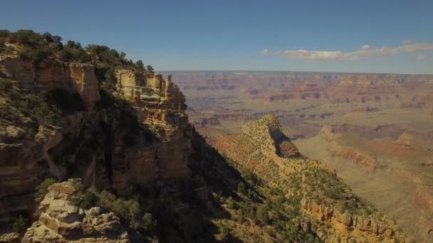 Luchtfoto Video Van Grand Canyon National Park Arizona — Stockvideo