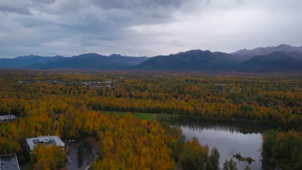 Aerial Video Anchorage Overcast Fall Day — Stock Video