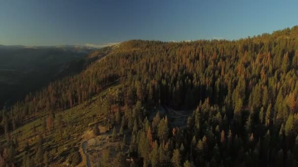 Video Aereo Del Parco Nazionale Yosemite California — Video Stock