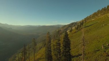 Hava video California'daki Yosemite Milli Parkı.