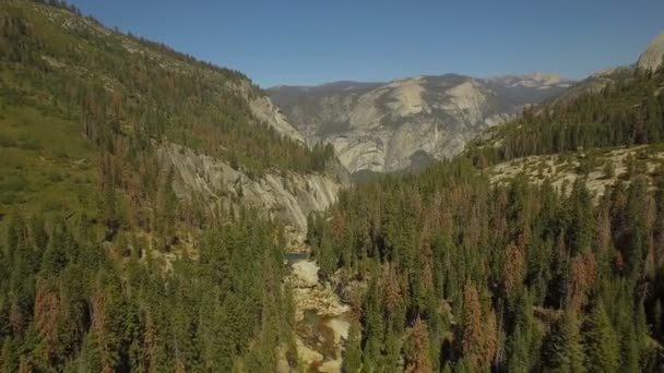 Luchtfoto Video Van Yosemite National Park Californië — Stockvideo