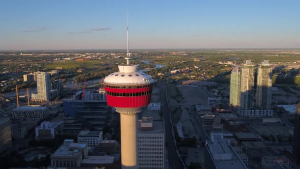 Luftbild Der Innenstadt Von Calgary Einem Sonnigen Tag — Stockvideo