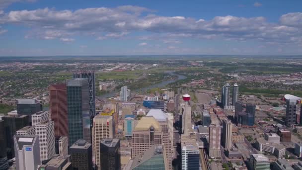 Aerial Video Downtown Calgary Sunny Day — Stock Video