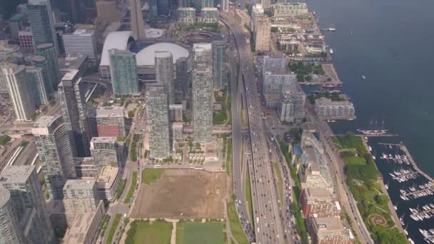 Légi Videó Downtown Toronto Egy Szép Napsütéses Napon — Stock videók