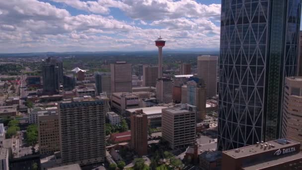 Aerial Video Downtown Calgary Sunny Day — Stock Video