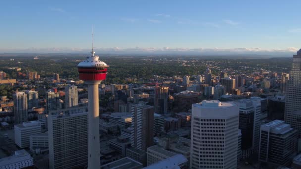 Vídeo Aéreo Centro Calgary Dia Ensolarado — Vídeo de Stock