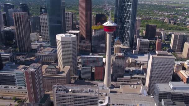 Luftbild Der Innenstadt Von Calgary Einem Sonnigen Tag — Stockvideo