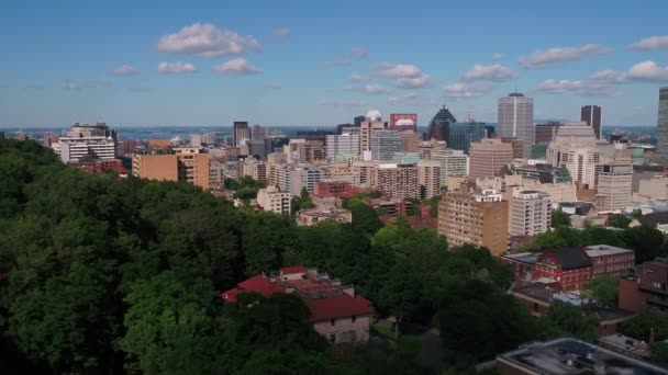 Εναέρια Καναδά Του Μόντρεαλ Στο Κέντρο Της Πόλης Μια Ηλιόλουστη — Αρχείο Βίντεο