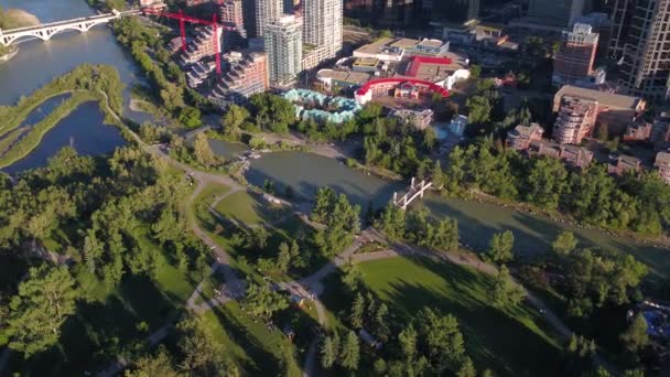 Luftbild Der Innenstadt Von Calgary Einem Sonnigen Tag — Stockvideo