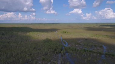 Bataklık Everglades Florida hava video.