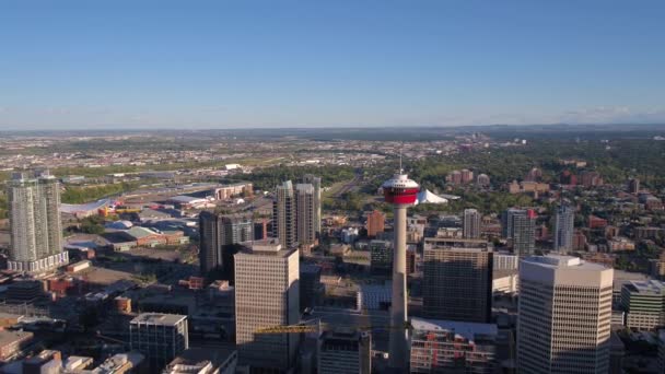 Luftbild Der Innenstadt Von Calgary Einem Sonnigen Tag — Stockvideo