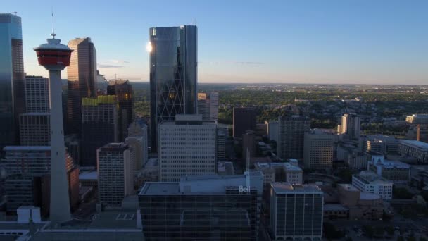 Vídeo Aéreo Del Centro Calgary Día Soleado — Vídeos de Stock