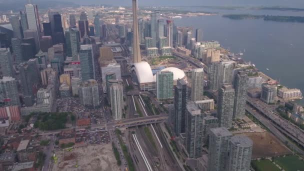 Luchtfoto Video Van Downtown Toronto Een Mooie Zonnige Dag — Stockvideo